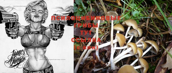 молекула духа Михайловск