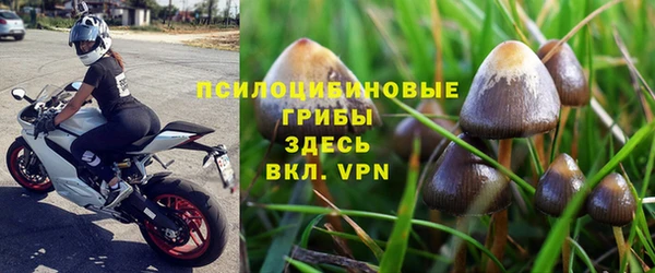 не бодяженный Медвежьегорск