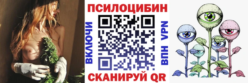 Псилоцибиновые грибы MAGIC MUSHROOMS  Купить  Алапаевск 